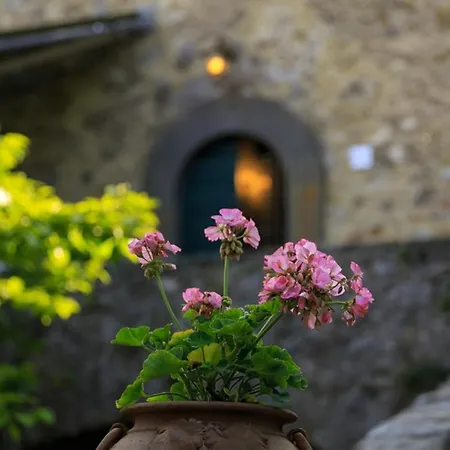 Autentica Casa Di Compagna Toscana Nyaraló